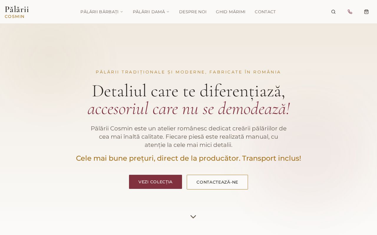 Website palariicosmin.ro